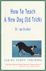 How To Teach An Old Dog New Tricks