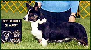 Bolt