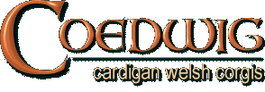 Coedwig Cardigan Welsh Corgis