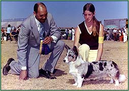 Champion Saula, 1974